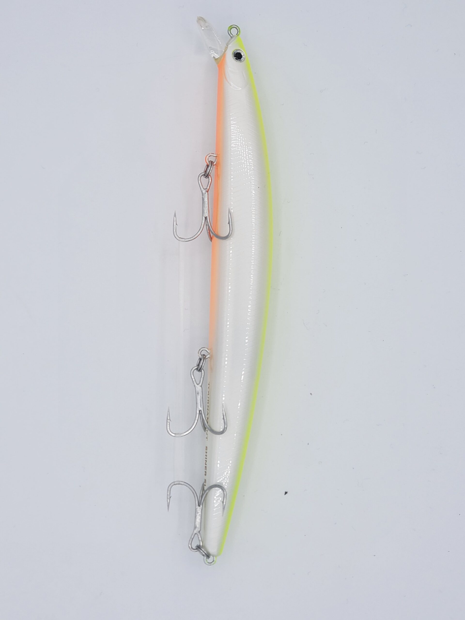 2024/01/1000018733-scaled.jpg