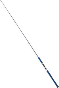 CANNE LEGALIS O JG 581 XHS 1.72MT 100-300G V-J