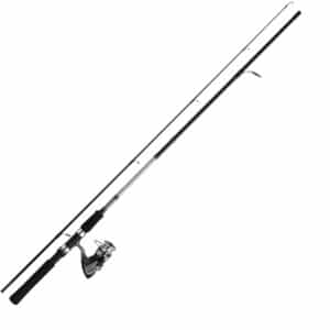 SW 24 BF + DF + 2500A