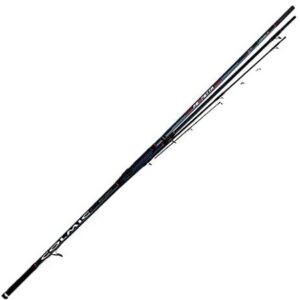 CANNE SALEX 4.20 MT  80G