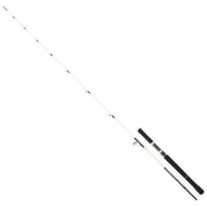 CANNE SALTIST SJ 62 HB 1.88MT 90-210G SLOW JIGGING/BAITCASING