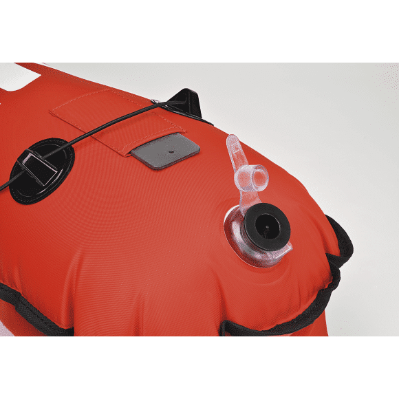 c4_21_boareddragon_part