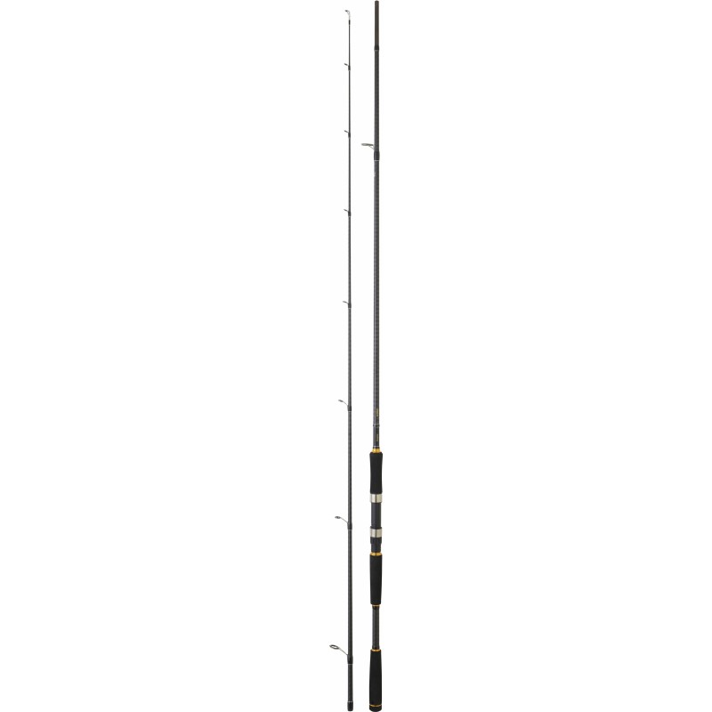cana-daiwa-legalis-seabass-902hxhfs