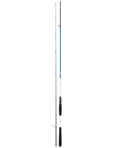 canne-daiwa-mer-spinning-spitfire-sb-1102-xhfs-330m-28-84g