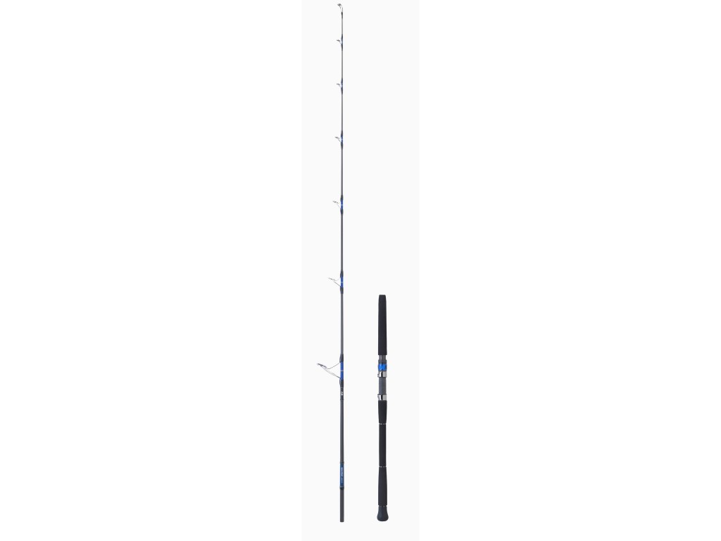 cannes-lancer-exo-daiwa-saltiga