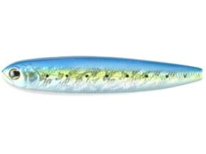 WT-DOG 125HF SARDINA CHART