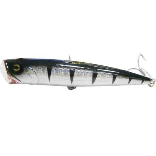 mullets barracuda-550x550
