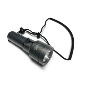 C4 TORCH LUXO
