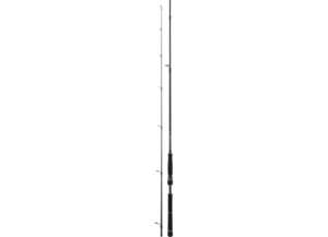CANNE LANCER DAIWA BLACK GOLD SEABASS kantan