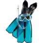 WhatsApp Image 2024-07-21 at 12.40.47 PM (2)