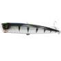 mullets barracuda-550x550